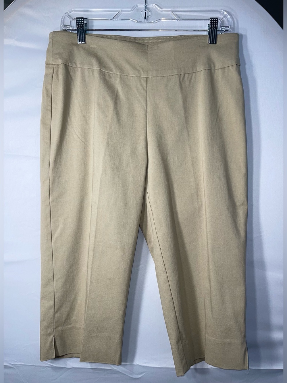 Ruby Rd. Prints Charming Pull-on Stretch Capri Pants NWT Size 10
